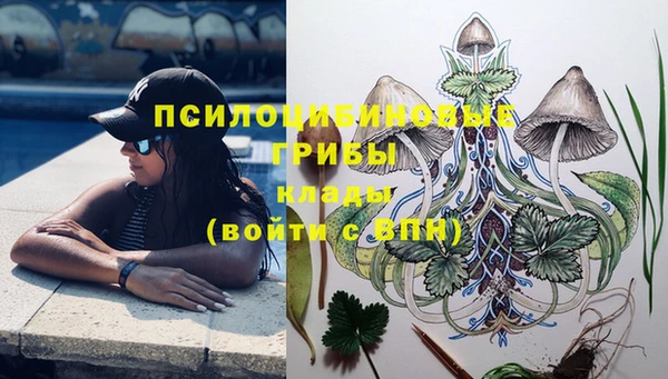 ПСИЛОЦИБИНОВЫЕ ГРИБЫ Зеленодольск