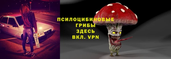 не бодяженный Инсар