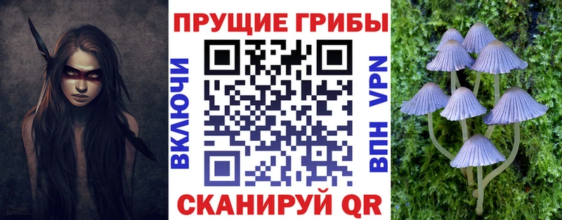 Галлюциногенные грибы Psilocybine cubensis  Купить где  Заинск 