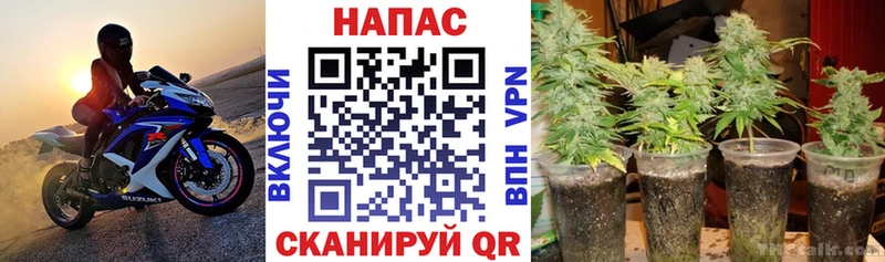 Купить  Заинск  Марихуана семена 